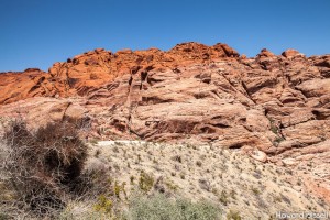 On the Red Rock Canyon scenic drive